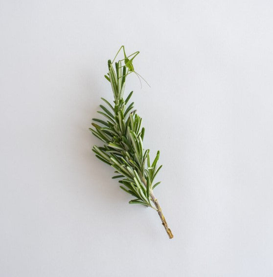 Be Aromatic Rosemary