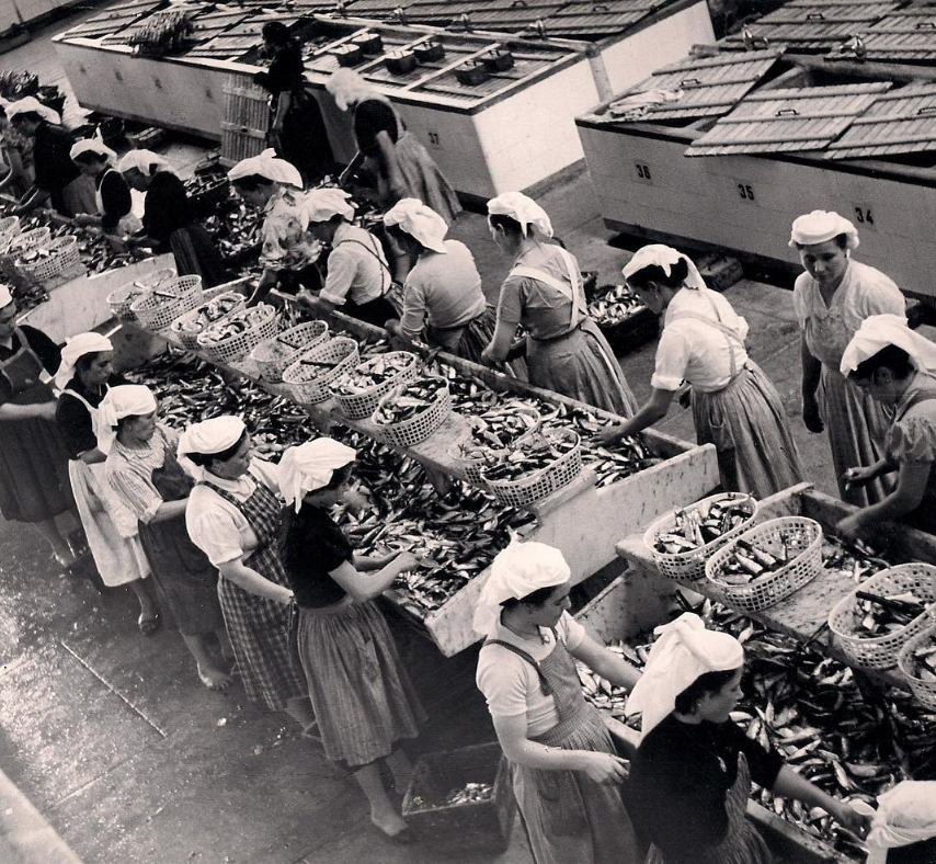 Açor Portuguese Sardines in Olive Oil (Limit 4 Per Customer)