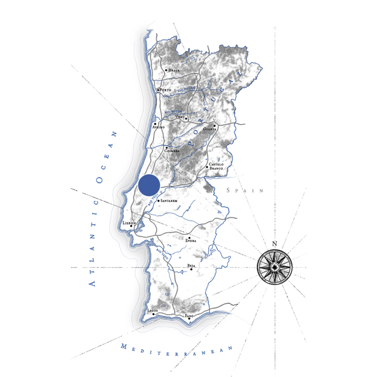 Wildly Virgin Extra Virgin Olive Oil - Doce