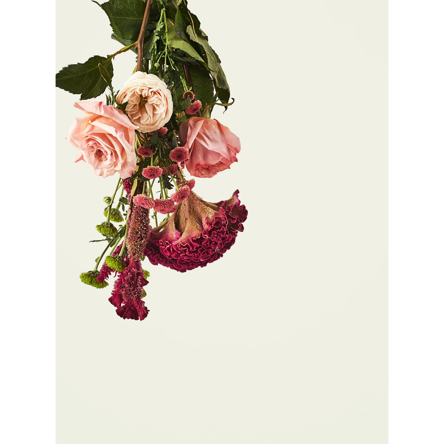 Floral arrangement with pink and red flowers on a light background