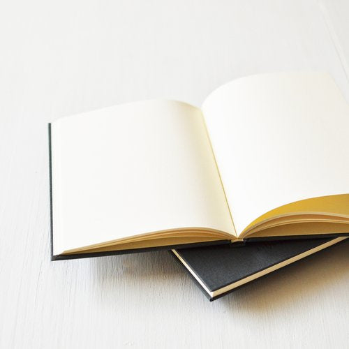 Beija-Flor Notebook - Swallow Collection