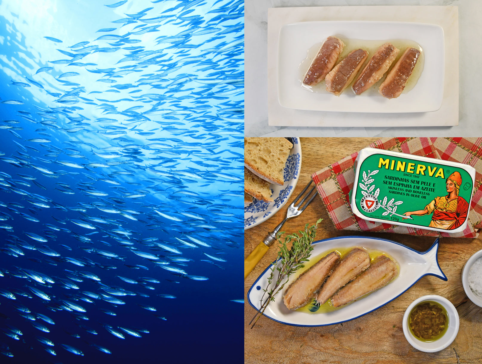 Minerva Skinless and Boneless Sardines in Olive Oil