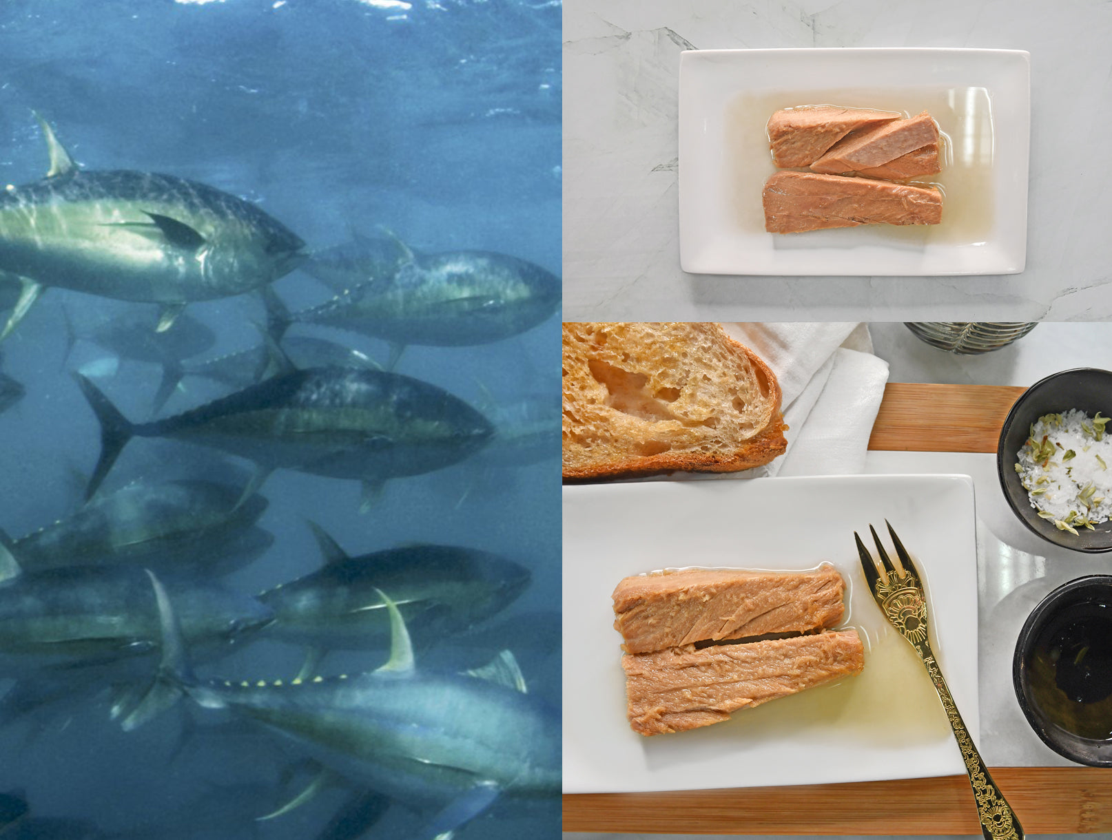 Minerva Tuna Ventresca (Tuna Belly) in Olive Oil