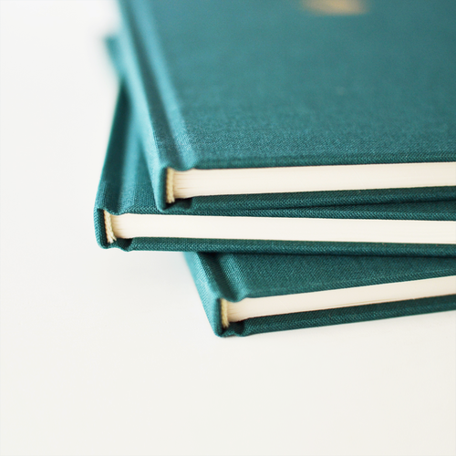 Beija-Flor Notebook - Swallow Collection