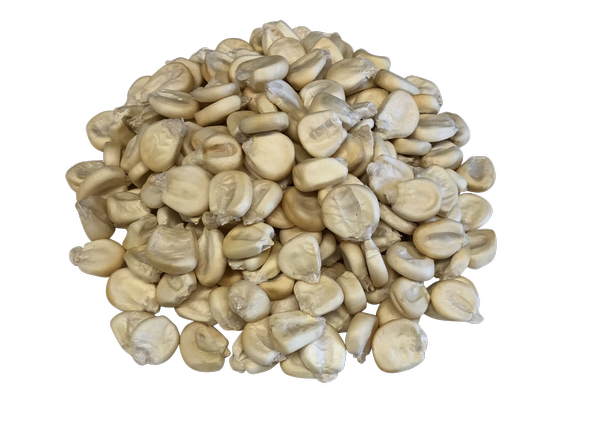 Dry Corn