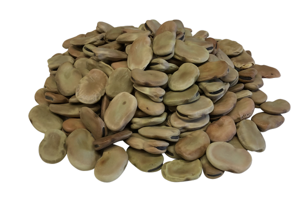 Dry Fava Beans