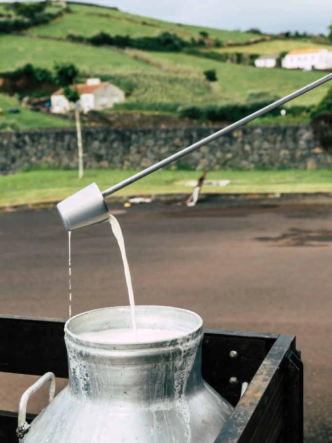 São Jorge Lourais Cheese