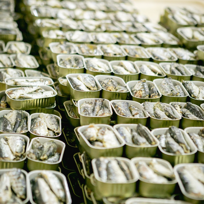 Nuri Sardines in Olive Oil