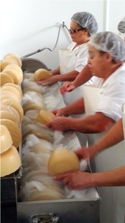 Queijos Tavares Soft Sheep's Milk Cheese