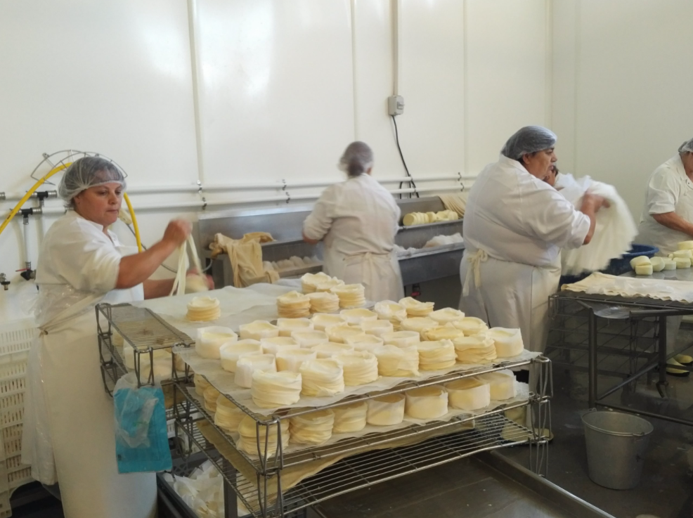 Queijos Tavares Soft Sheep's Milk Cheese
