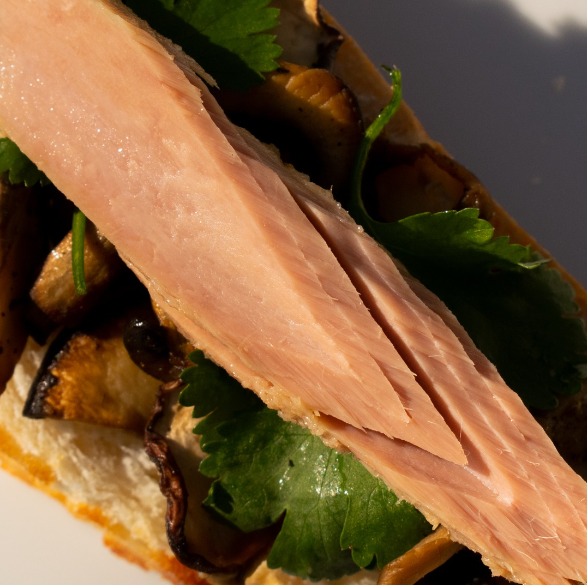 Ati Manel Tuna Fillets in Olive Oil