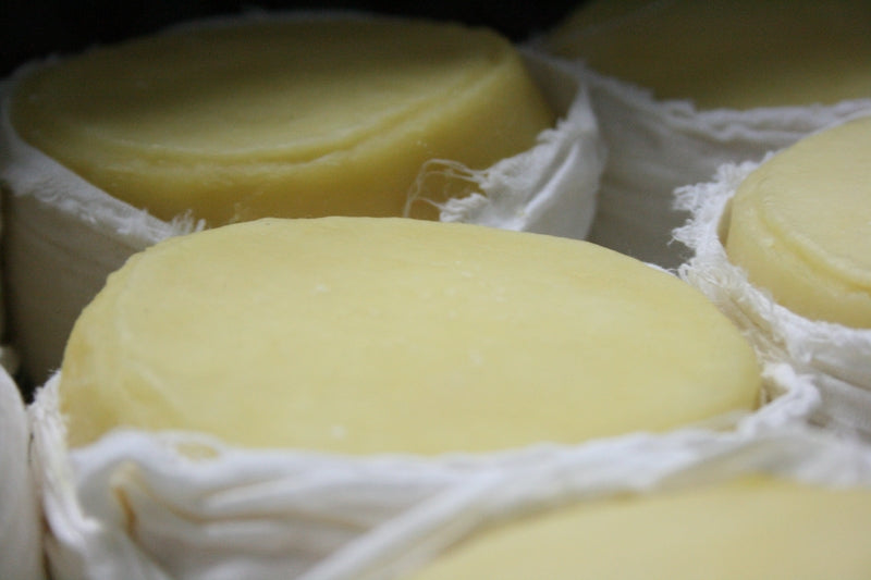Estrela Artesanal Cheese